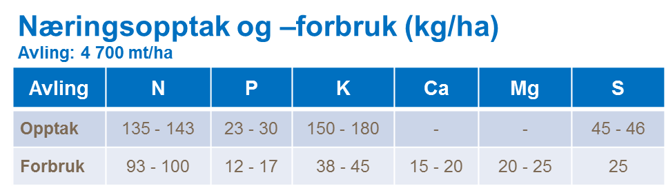 Næringsopptak og -forbruk rug