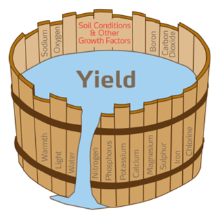 Mangel på et av næringsstoffene er nok til å begrense avlingens størrelse