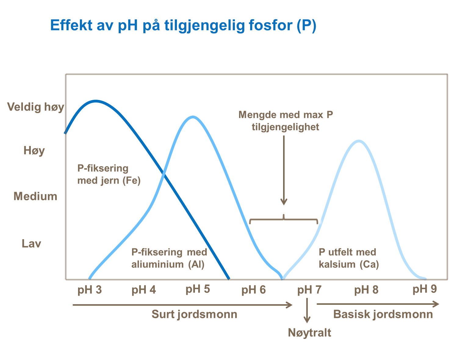 Effekt av pH på tilgjengelig fosfor