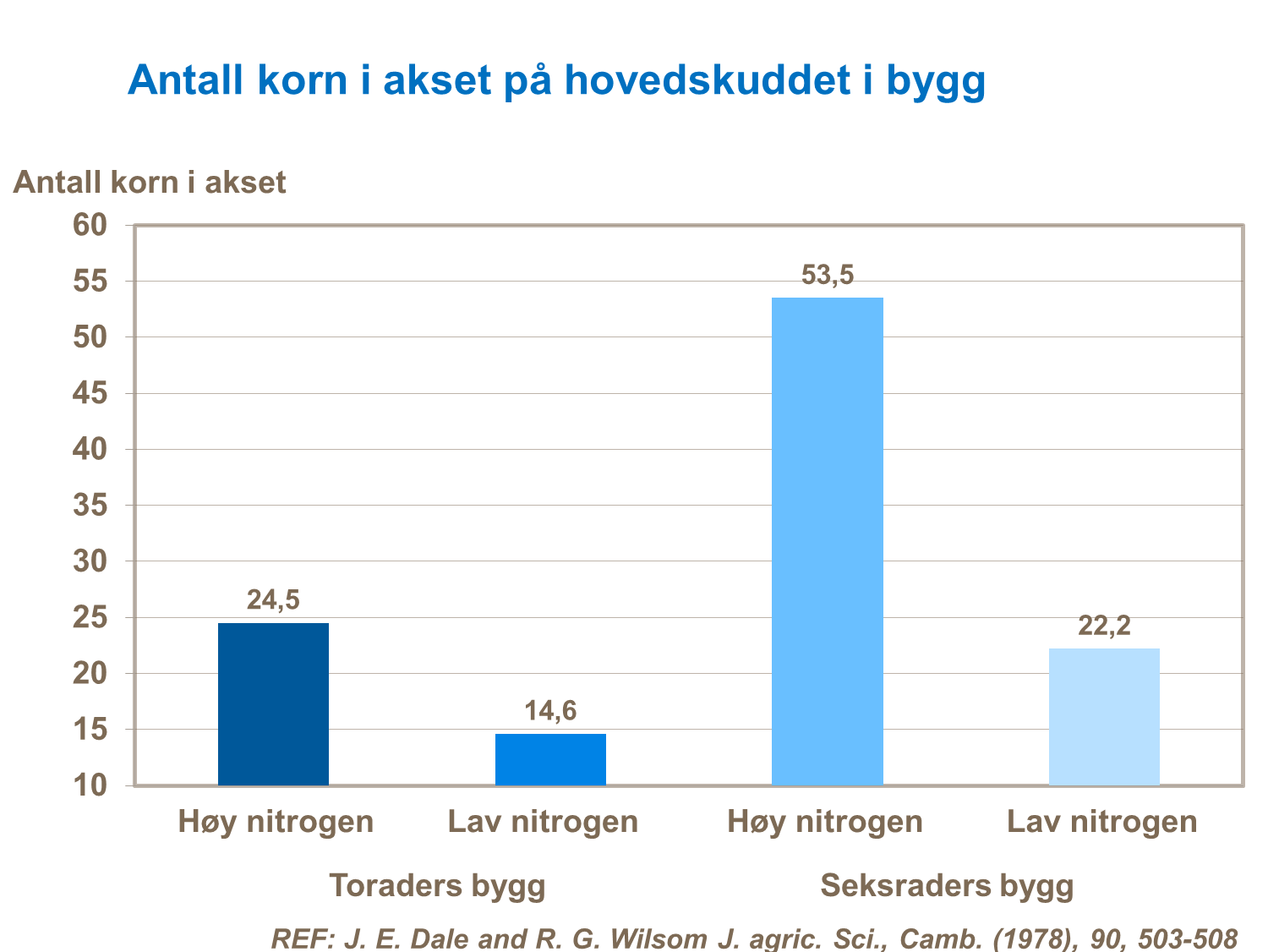 Antall korn i akset bygg