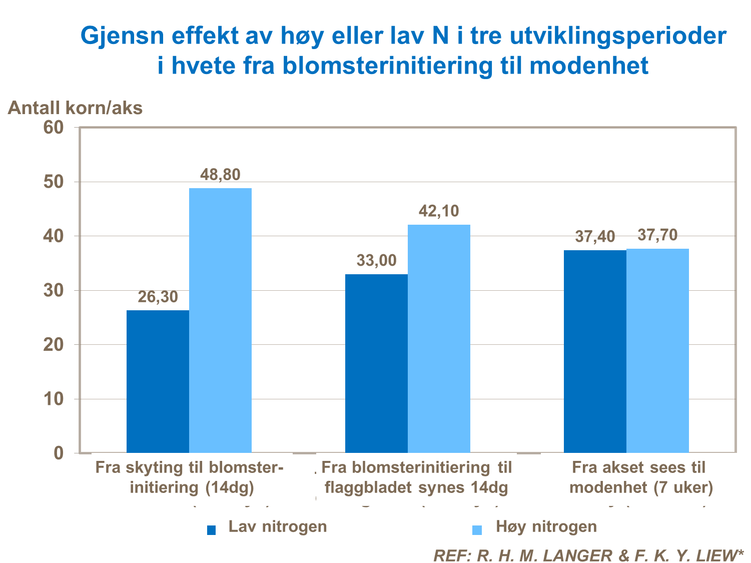 Nitrogen og størrelse og vekt på korn - hvete