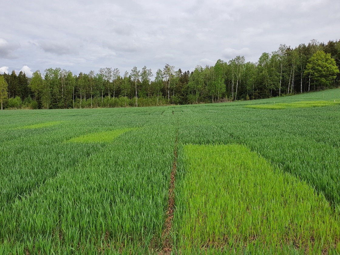 Bilde 3 Sarpsborg.jpg