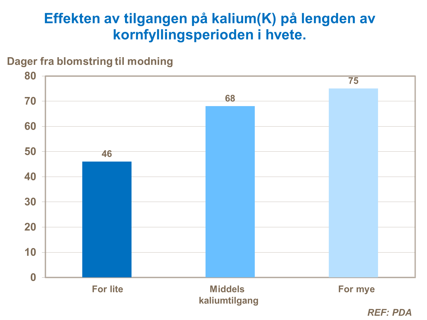 Kalium og lengden på kornfyllingsperioden - hvete