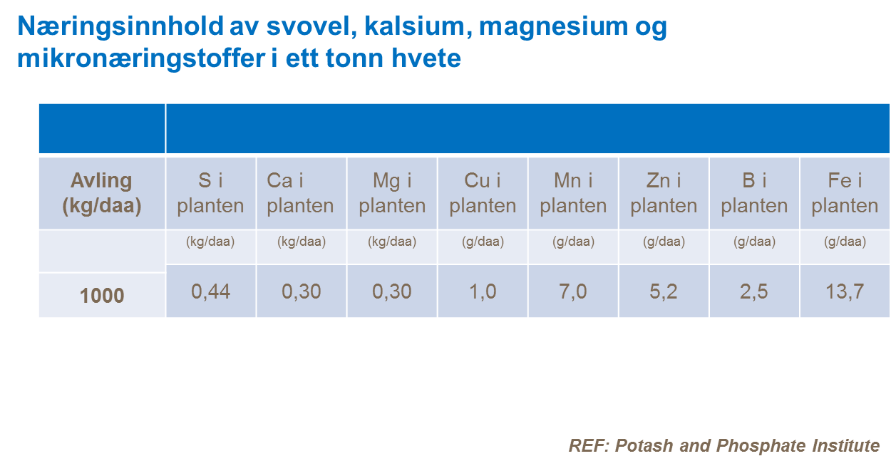 Mikronæringsstoffer i hvete