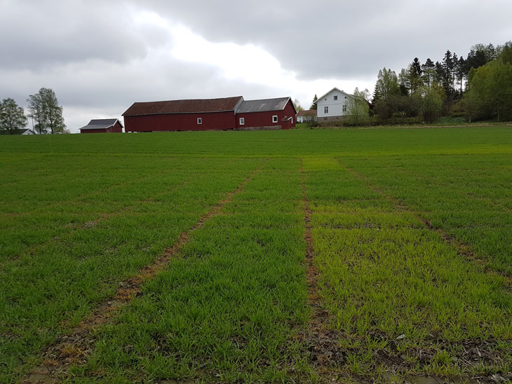 Uke 19 2018, Felt 2. Fotograf Øyvind Akselsen