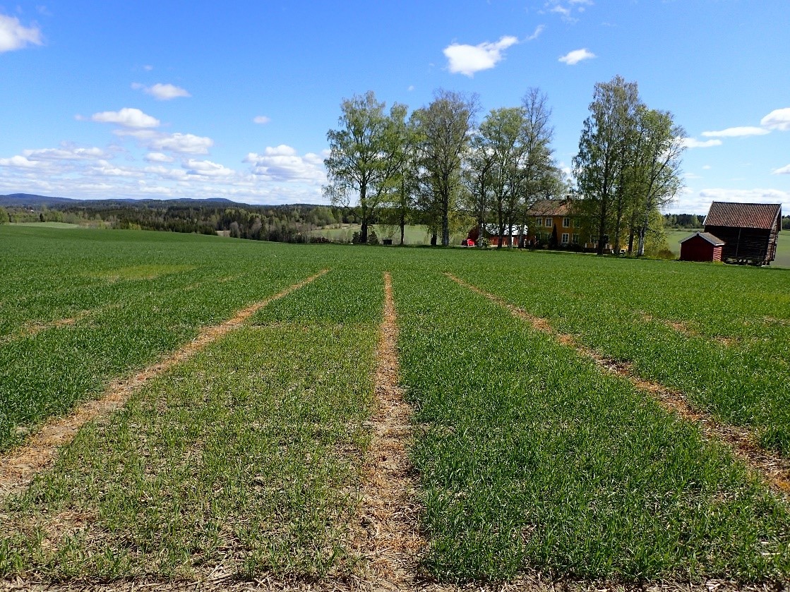 Bilde 5 Vormsund.jpg