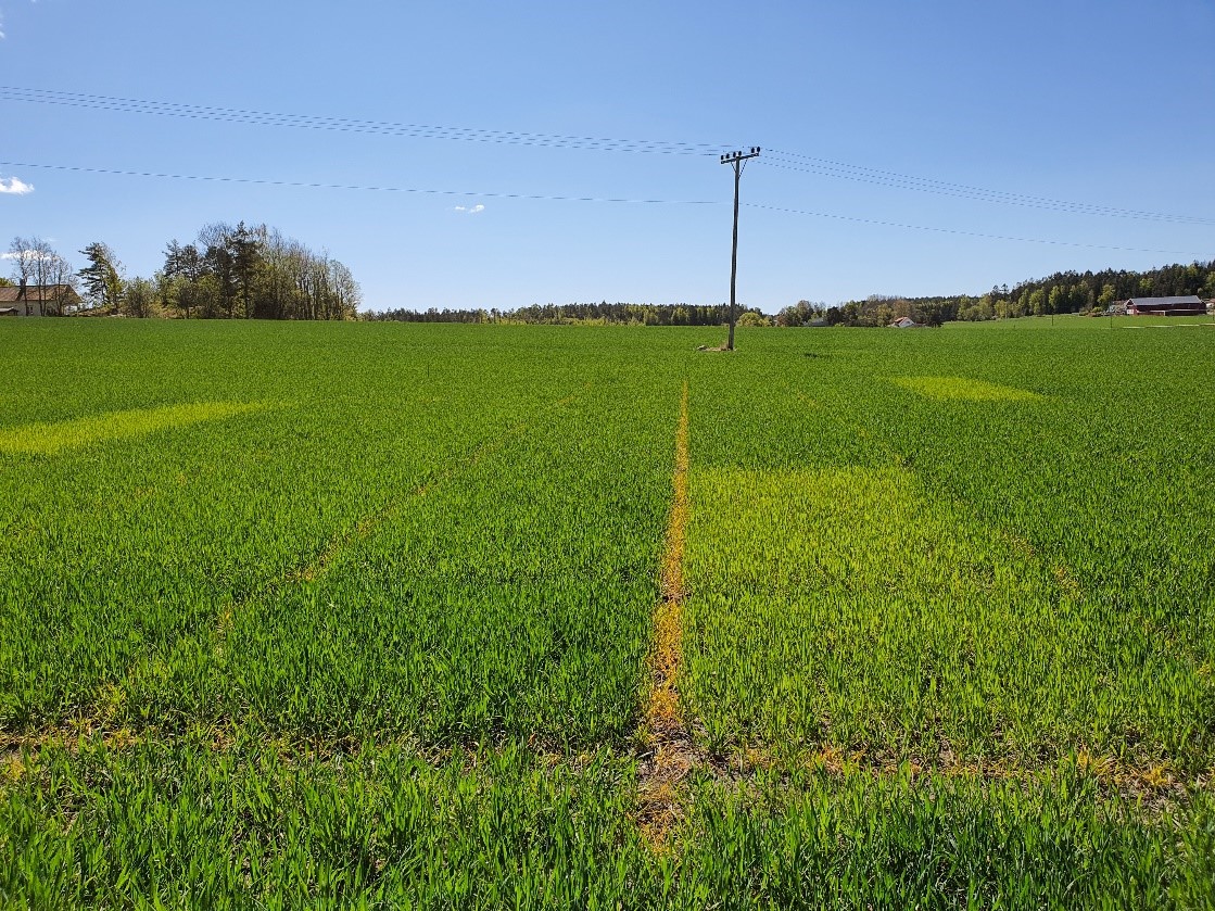 Fredrikstad n-prognose 2020 uke 20.jpg