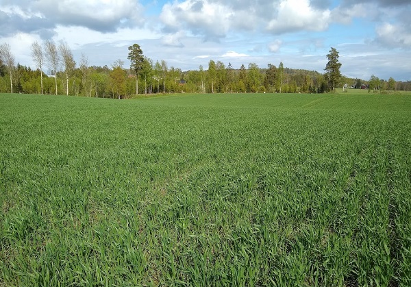 Svein Ivar status 23.05