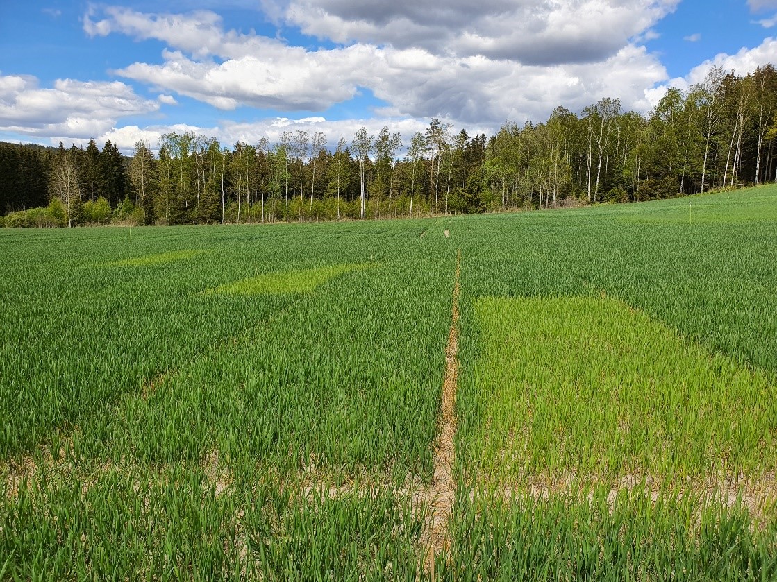 Bilde 3 Sarpsborg.jpg