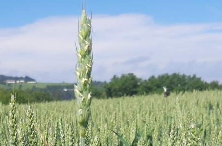 Statusrapport - Anna Rathe